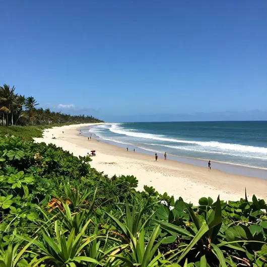 Descubra a Praia do Cruzeiro