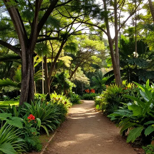 Descubra o Parque Caminhos do Mar