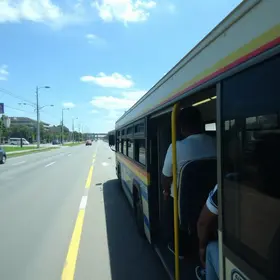 ônibus com 48 pessoas cai em ribanceira