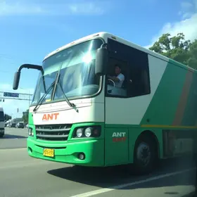 SP: ônibus fretado que caiu em ribanceira não tinha cadastro na ANTT ônibus fretado